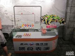 -苏州海洋馆