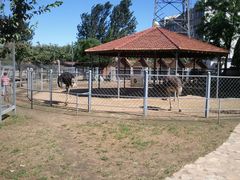 -意大利农场度假村