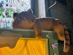 -星巴克臻选(思南公馆店)