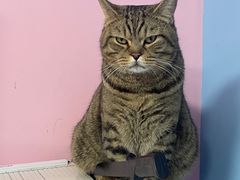 -Best U照相馆证件照·外拍(中山公园店)
