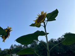 -石潭村