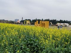 -光明小镇欢乐田园