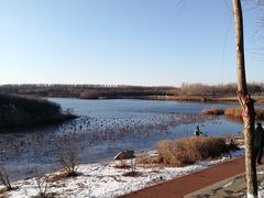 -丁香湖公园