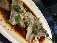 河畔春天时尚餐厅-河畔春天时尚餐厅