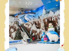 -湘江欢乐城欢乐雪域