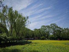 -北坞公园