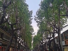 -阿昌白族石板烧(大理古城店)