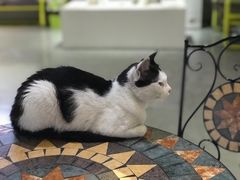 -一品格美术·中考高中成人美术培训