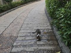 -厦门日月谷温泉渡假村