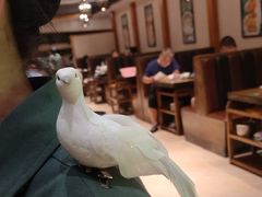 -大鸽饭(马王堆店)