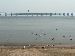 -黑石礁公园