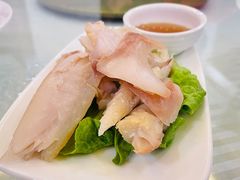 白切肚头-瑞福园联谊餐室(茂名南路店)