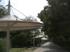 -新江湾城公园