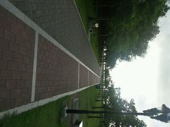 android_upload_pic-野狸岛