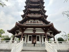-洋湖国家湿地公园