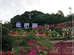 -枇杷园食为鲜火锅(南山店)