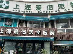 -爱侣宠医·鹦鹉专科·小型哺乳类·异宠专科(灵石路店)