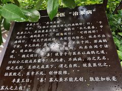 -广州神农草堂中医药博物馆