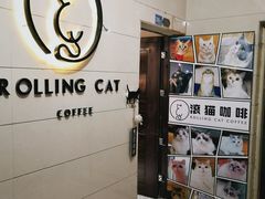 -滚猫咖啡·猫咖·猫友好撸猫(未来城店)