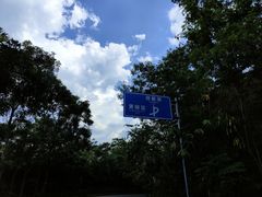 -大屏嶂森林公园