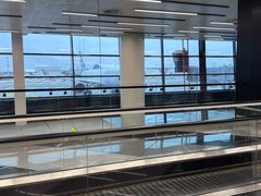 -谢列梅捷沃国际机场