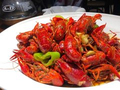 十三香龙虾-阿甘龙虾·重庆麻麻鱼(中豪店)