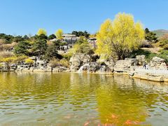 -北京西山国家森林公园