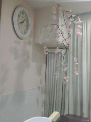 -丝域养发馆