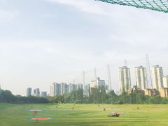 -棕榈泉国际高尔夫学院