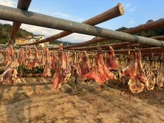 -海泉湾竹筒饭·瘦身水库大头鱼(从化温泉镇店)