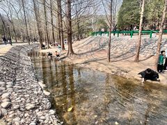-白水寺森林公园
