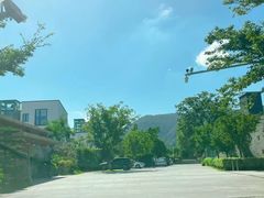 -树山生态村