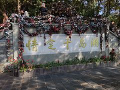 -月光岛(五龙岛)