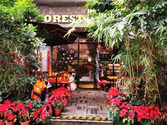 -咖法森林·咖啡  酒吧(天河店)