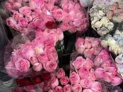 -秦美花卉(天朗·莱茵小城2期店)