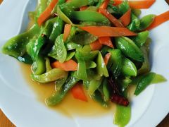 八角瓜-腾冲国萍农家乐