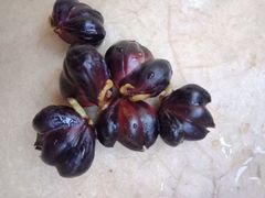 百合籽-彩香二村农贸市场