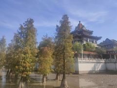 -顺峰山公园