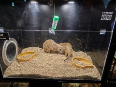 -太平洋海底世界