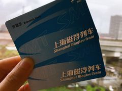 -龙阳路磁悬浮列车总站-停车场