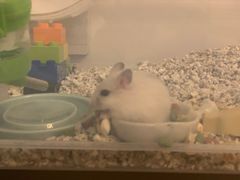 -龙猫仔乐园(惠福东路店)