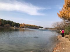 -塞罕坝国家级自然保护区