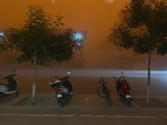 -老钟家烤羊排·敦伊阁清真餐厅胡羊焖饼