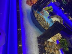 -加餐海鲜自助餐厅(福清万达店)