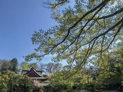 -井之头恩赐公园