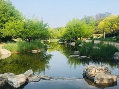 -大望京公园