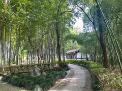-兰亭风景区