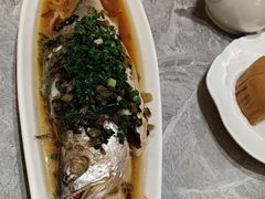 -老绍兴养和饭店(向阳不夜城店)