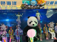 -成都浩海立方海洋公园