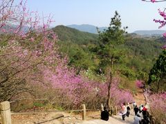-天台山赤城山景区
